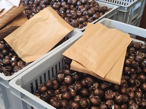 En vidéo : liquidation totale à la Chocolaterie de Bourgogne